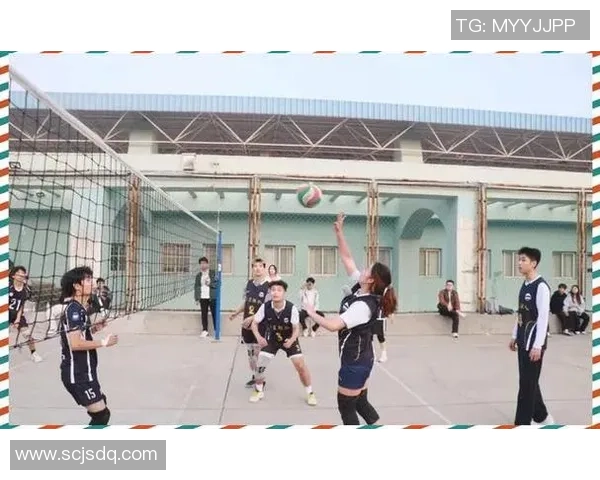 武汉排球队的拼搏之路挑战赛特别报道展现奋斗精神与团队力量