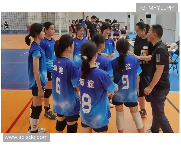 北京排球队区域防守策略创新探索与实践分析